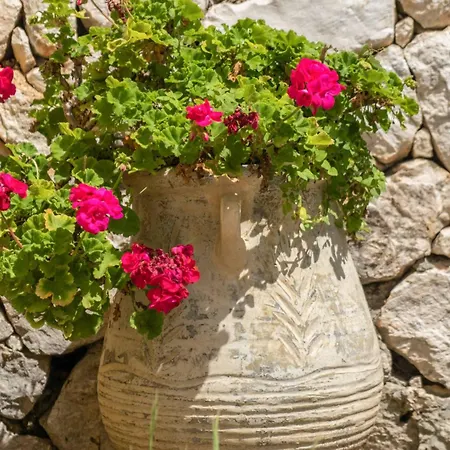 Villa Elpida Sývota